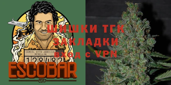 ПСИЛОЦИБИНОВЫЕ ГРИБЫ Липки